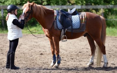 Incredible Benefits of Horseback Riding